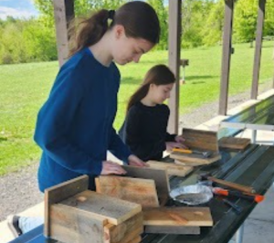 Two students focus on creating bird houses